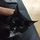 CatTheCat Gee