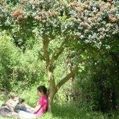 Serena Baquero Guillen's photo