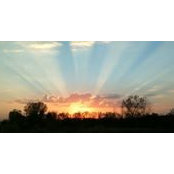 Foto von Tiffany Smith