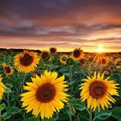Cheryl Chimko Robertson's photo