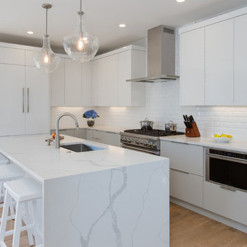 White Contemporary Kitchen
