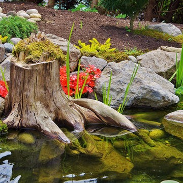 Ecosystem Ponds