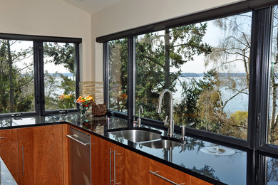 Kitchen - contemporary kitchen idea in Seattle