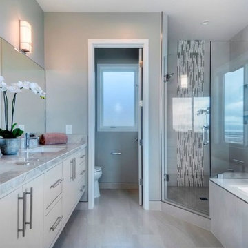 Luxury Master Bathroom
