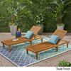 Noble House Nadine Outdoor Wood Chaise Lounge in Teak (Set of 2)