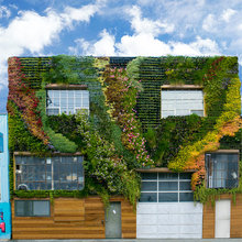 Plant Walls
