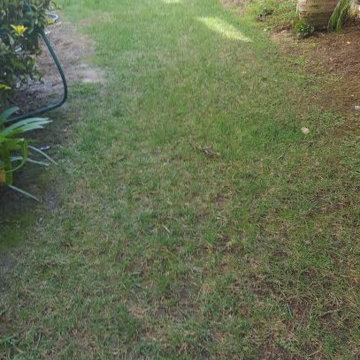 Romantic Garden Before and After