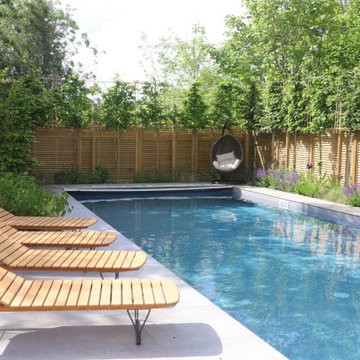 Contemporary garden with swimming pool