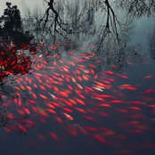 Lizelle Jacobs's photo