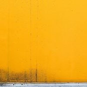 Christophe Billon's photo