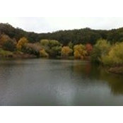 Andrew Joppich's photo