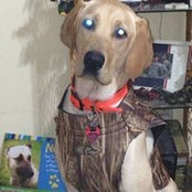 Wade Gilmer's photo
