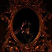 Denis Stegarev's photo