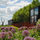 Raycroft/Meyer Landscape Architecture