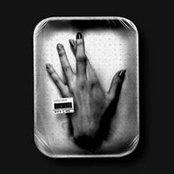 Nicholas Conidi's photo