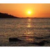 Rowena Swallow's photo