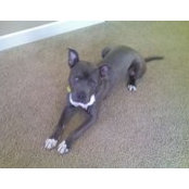 Christina Mohaddess's photo