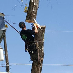 Timberworx Tree and Landscaping