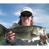 Dawn Vickroy's photo