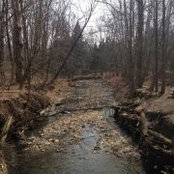 D.j. McConville's photo