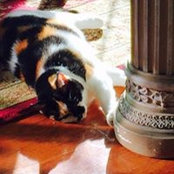 Judy Gonder's photo