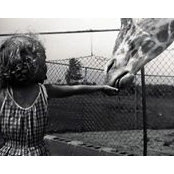 Sheila Kinakin's photo