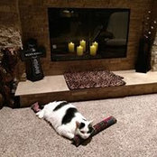 Angela Wilson-Markas's photo