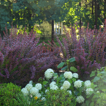 Timeless Elegance