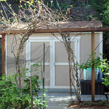 Contemporary Landscaping