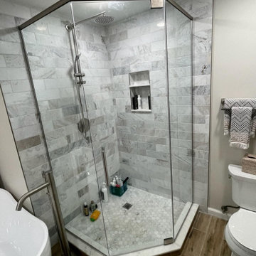 Frameless Shower