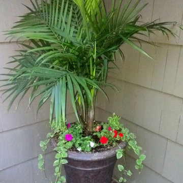 Flower Pots, Hanging Baskets, and Window Boxes