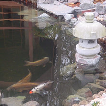 japanese teahouse
