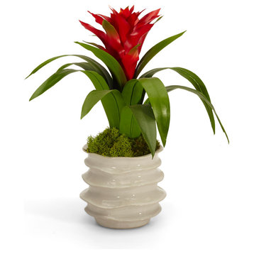 Artificial bromeliad in white wavy container - yellow, Red