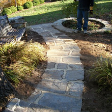 garden area under apple trees