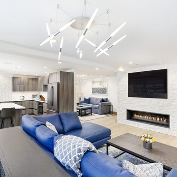 Downtown Aspen Modern - Remodel