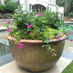 Container gardening - Home Decor