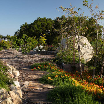 Montecito Phoenix rise from the ashes
