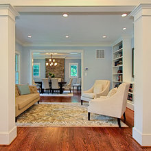 Living Room Designs