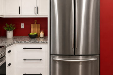 Inspiration for a contemporary kitchen remodel in Toronto