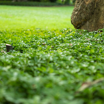 Traditional Estate - Rydal Landscape Lighting