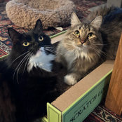 Foto von Paige Vermillion