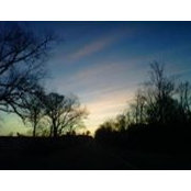 Wanda Madison's photo