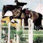 A A Bartolomeos foto