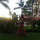 Jennifer Kellogg