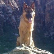 Scott Diesel's photo