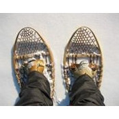 Sylvain Dumulong's photo