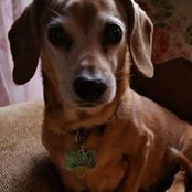 Denise Antonetti-Murrell's photo