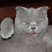 Александр Сопильник's photo