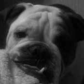 Michelle Davidson's photo