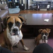 Michelle Harris's photo